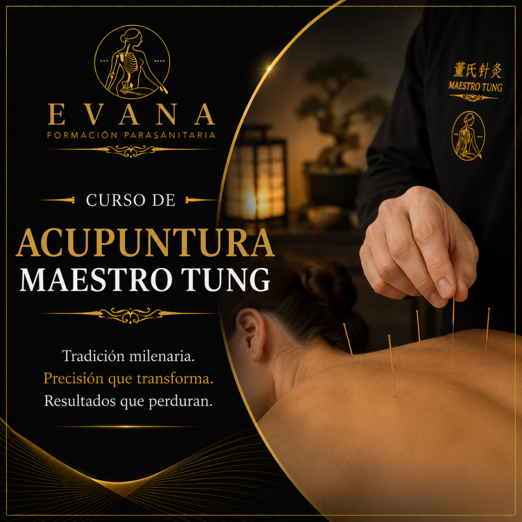 Curso de Acupuntura Maestro Tung · EVANA Formación Parasanitaria