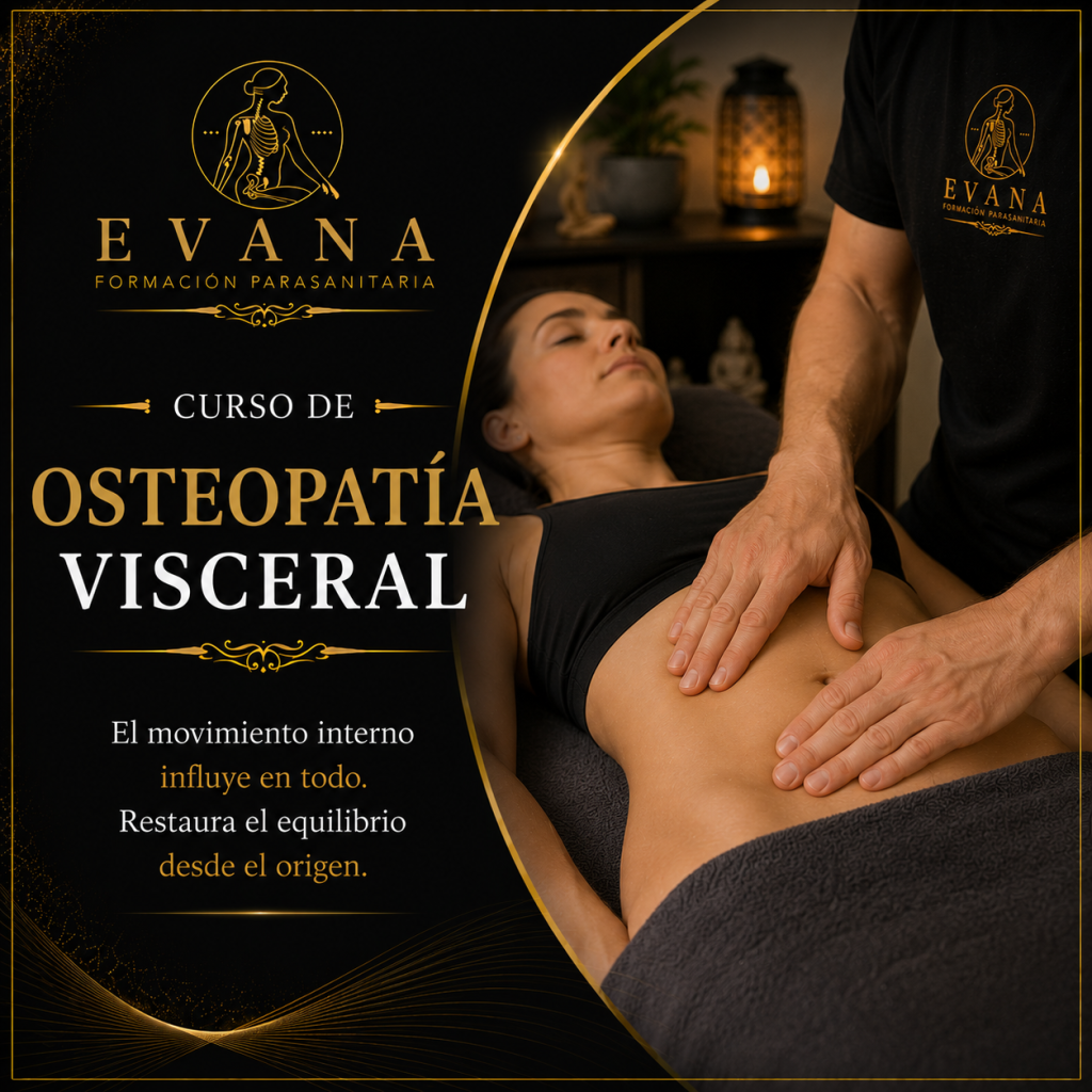 Curso de Osteopatía Visceral · EVANA Formación Parasanitaria
